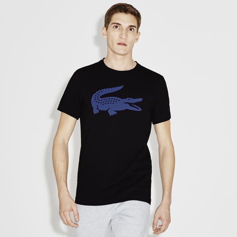 Soldes > tee shirt lacoste noir > en stock